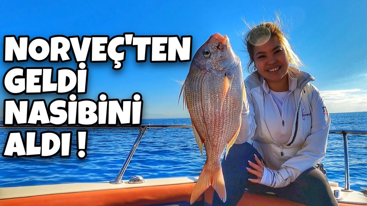 Antenli Mercan Avı Antalya! Takım Bilgisi ve Canlı Yem Bilgisi/Pagrus Caeruleostıctus