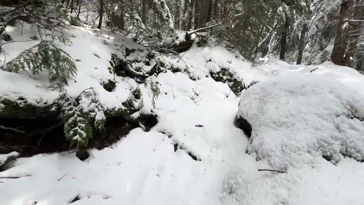 Spiritual Cleansing Walk II - White and Green Beauty Hike 