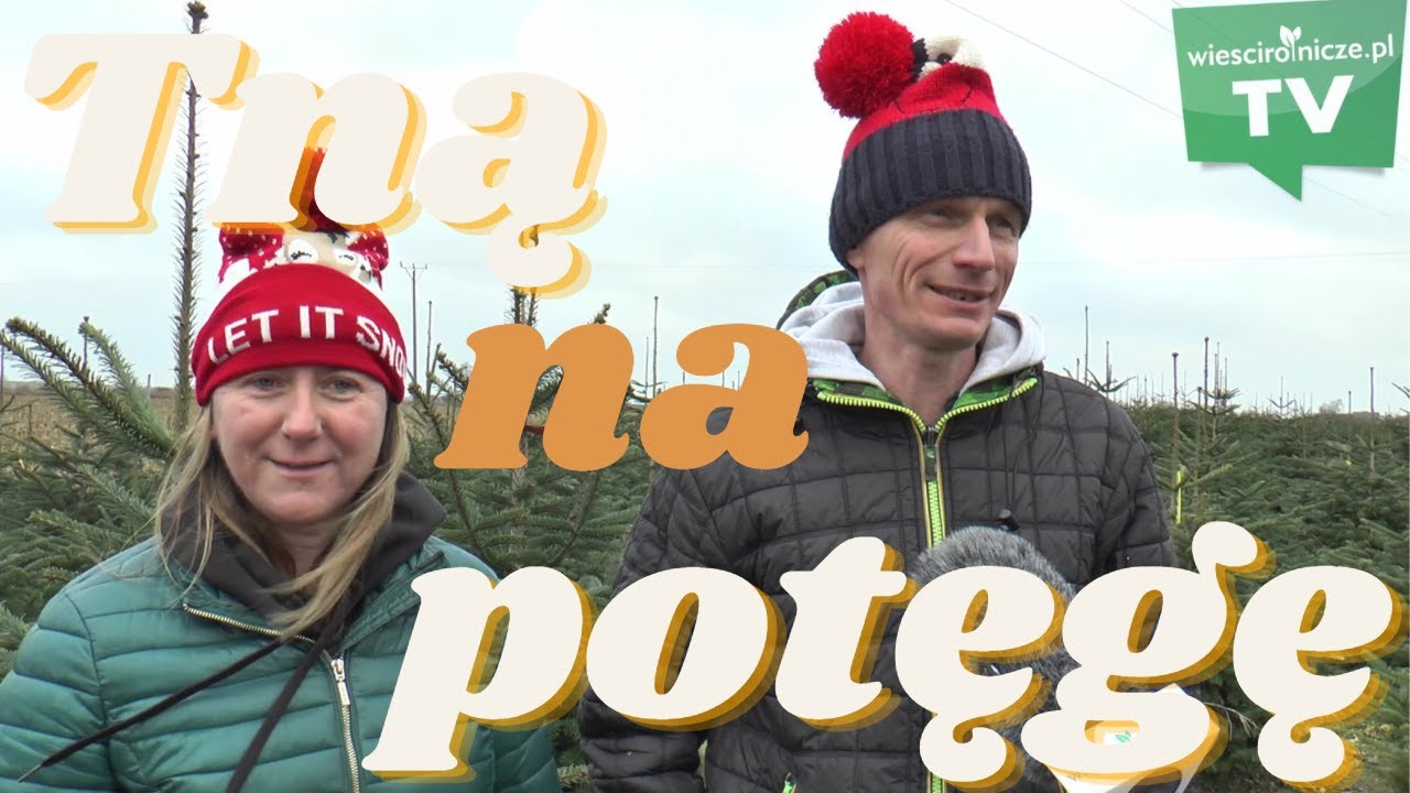 Żniwa mają przed świętami. Rodzinne gospodarstwo Mizerów