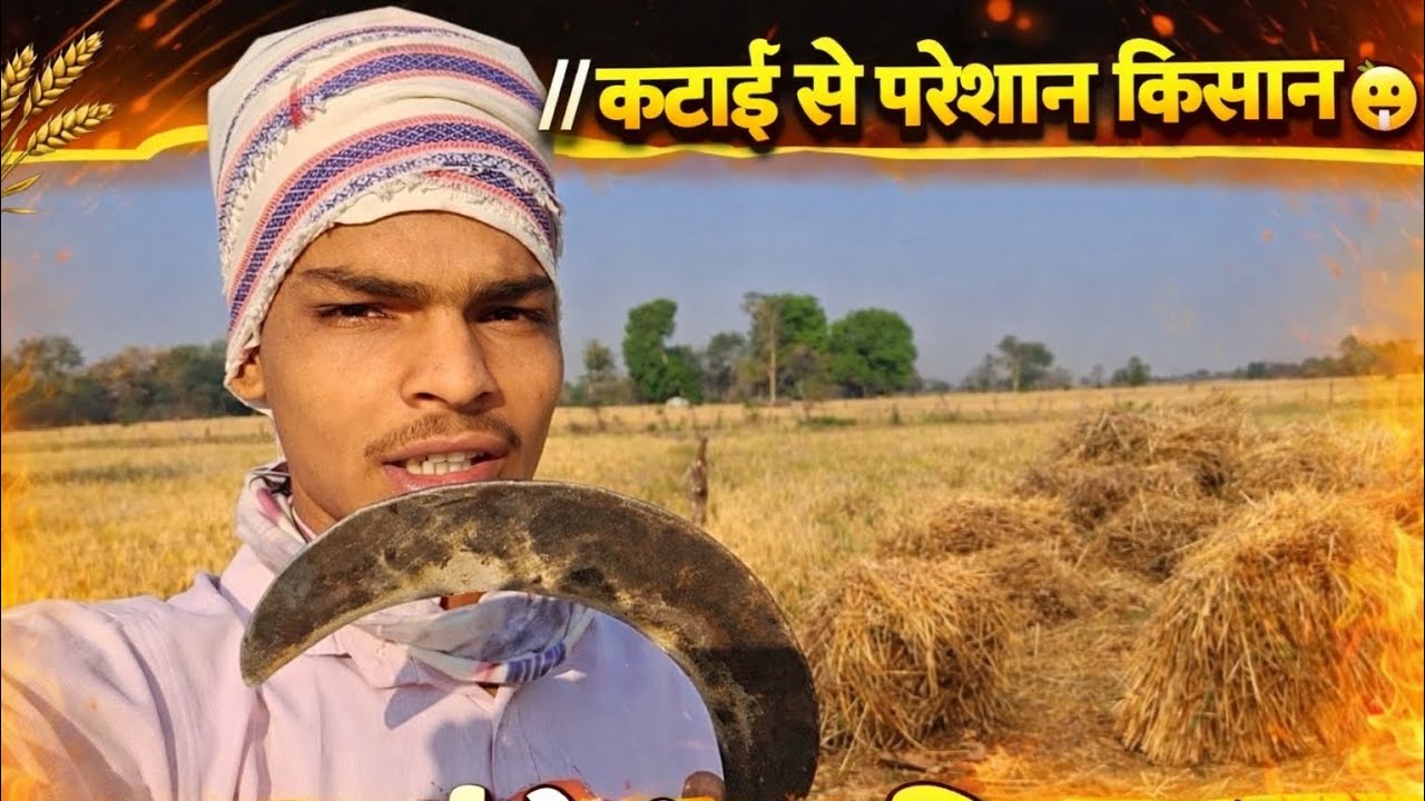 //कटाई से परेशान किसान 😛// #trending #youtube 