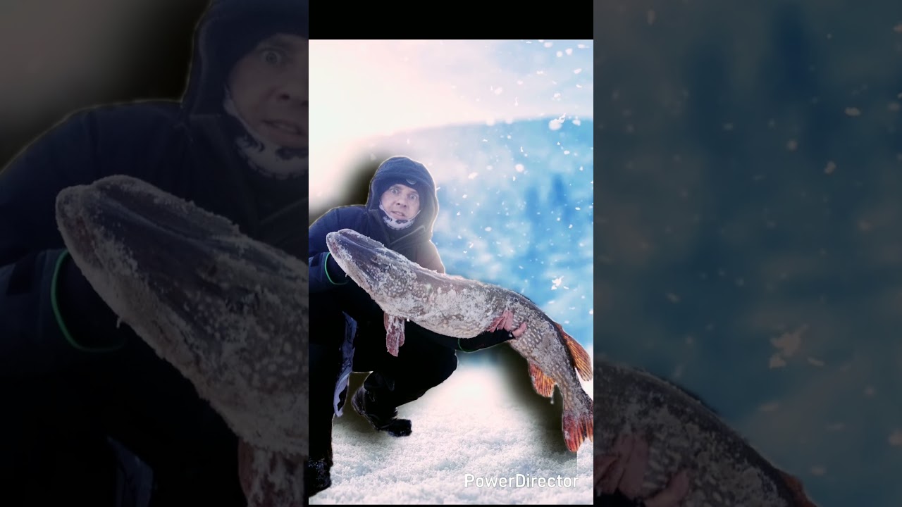 Трофей под 10-ку на НМР! Тренировка перед Winter Cup 25-26г(15.12.2025г)! НМРToday! Catch&Release!