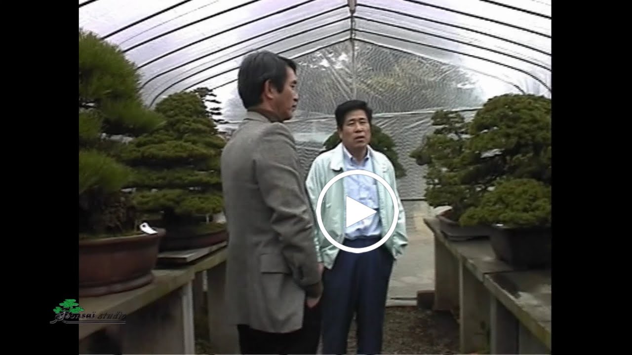 Japon:   Masahiko KIMURA et Toru SUZUKI