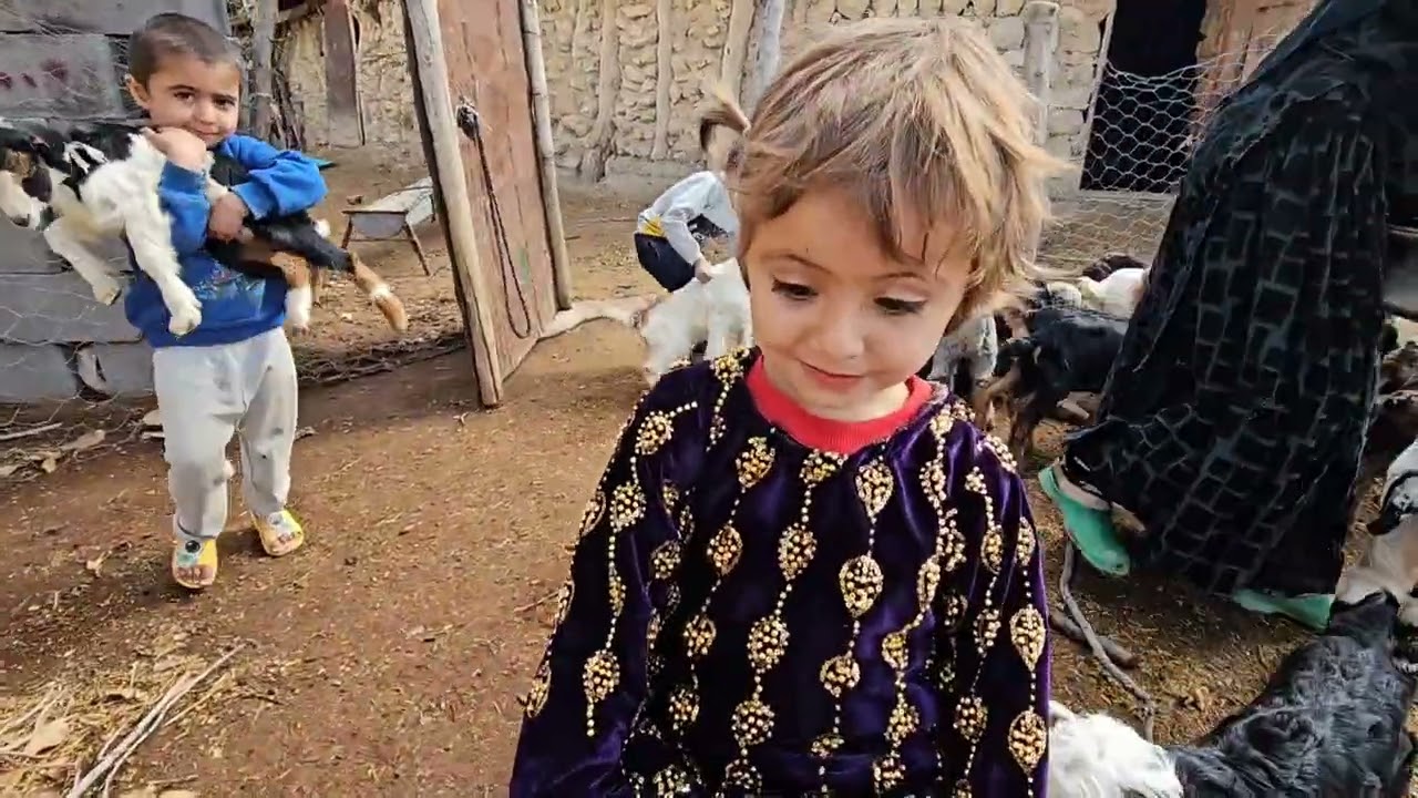 ۱۸ فوریهٔ ۲۰۲۶