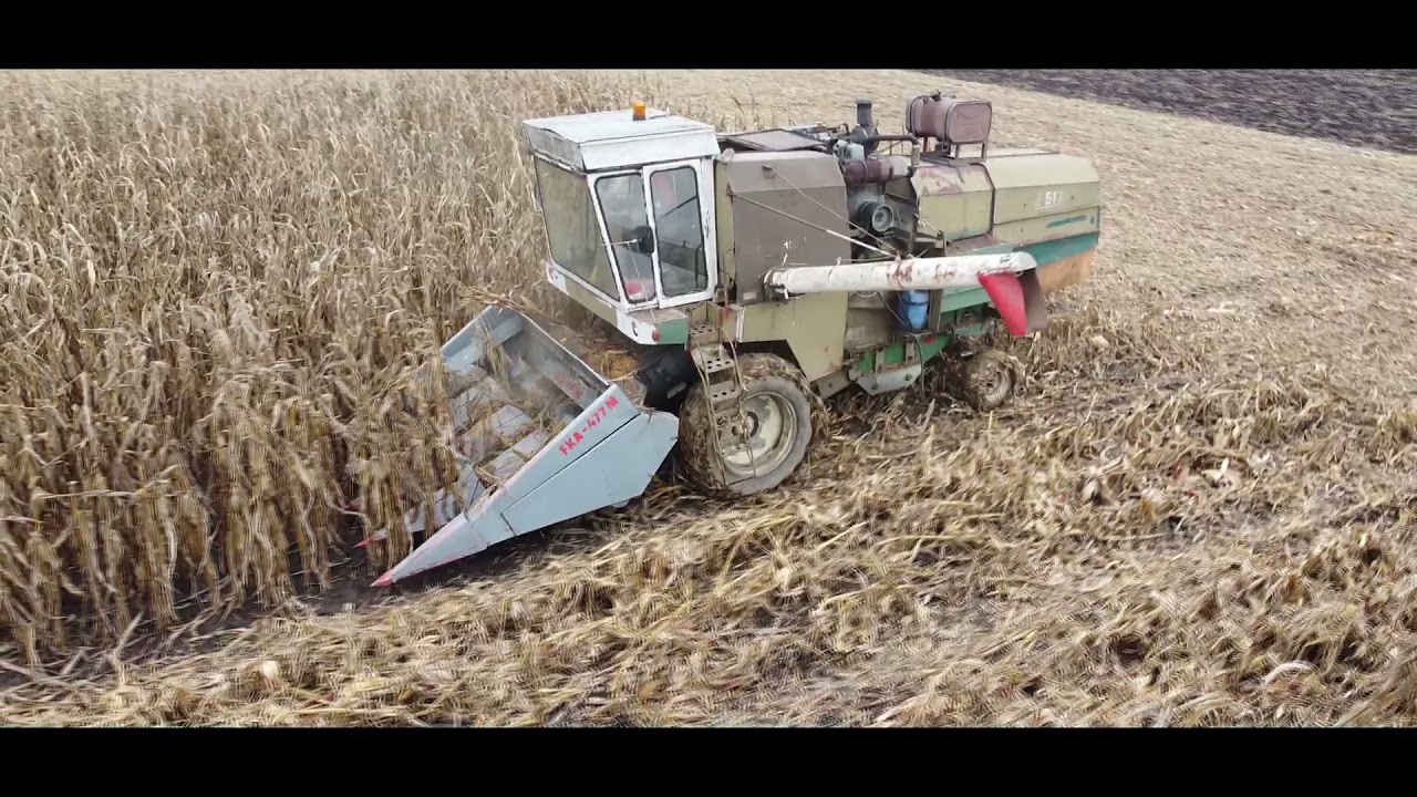 Kukorica aratás | Corn harvest  | Kukurica Žatva  | 2020 |