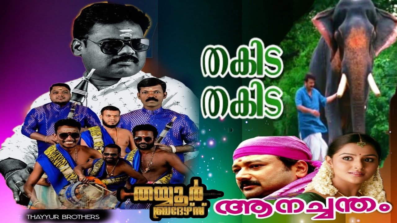 തകിട തകിട തക🎼🎤||ആനച്ചന്തം🎥❤️||തയ്യൂർ ബ്രദേർസ് നാദസ്വരം ടീം🥁❤️||കിഴൂർ പൂരം 2024🎉❤️||