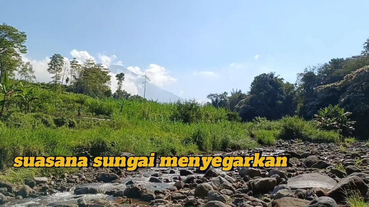 MENYUSURI SAWAH DAN SUNGAI !! 💦🌿