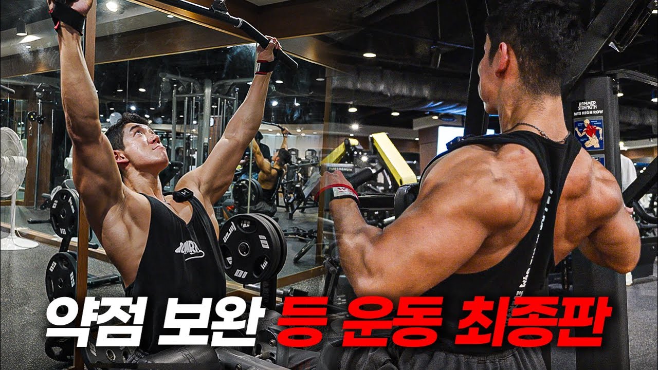 가장 좋은 밸런스를 만들기 위한 등 운동 5가지 최종판