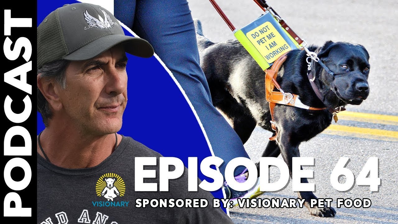 Service Animal Laws and Social Media Tattle Tales - Episode 64