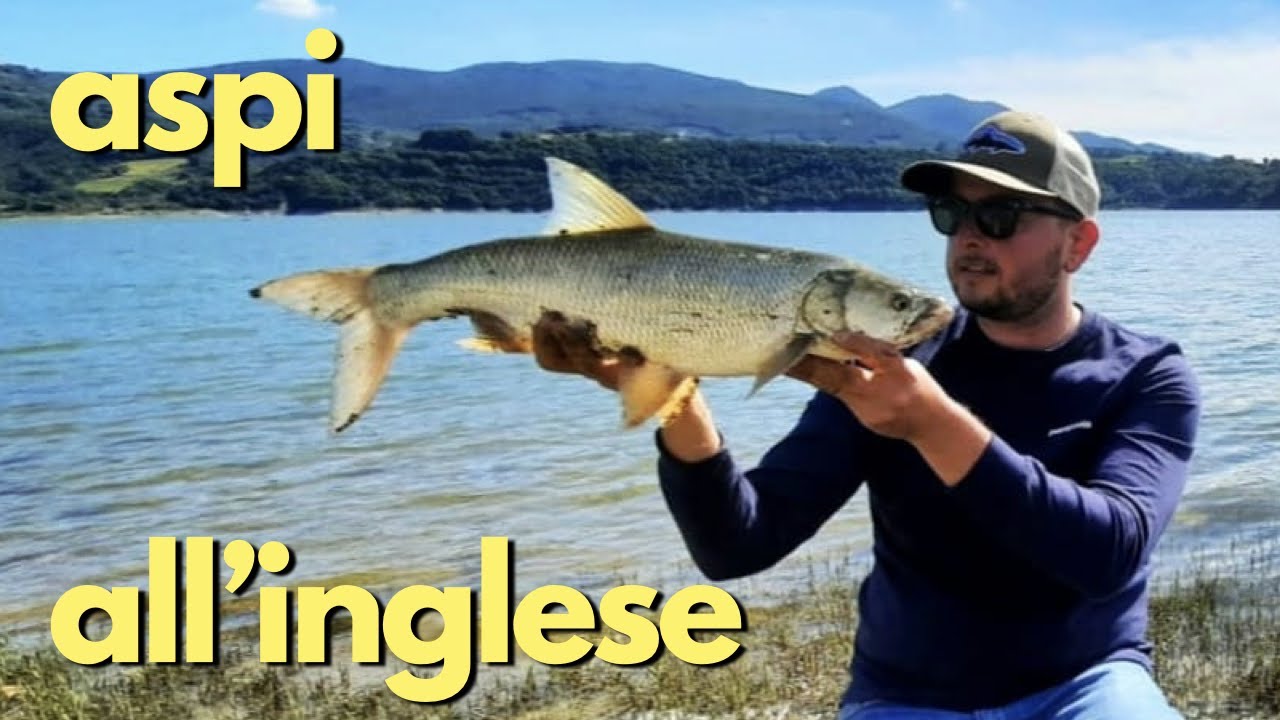 ASPIO: PESCA ALL'INGLESE NEL LAGO DI CORBARA - ASPIO TOPWATER - pesCarlo 4K