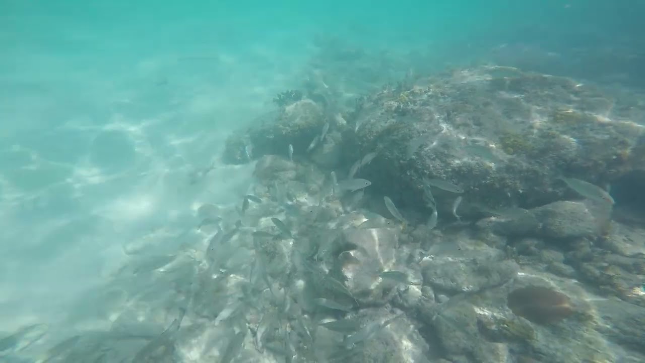 Snorkeling Coco Cay near Chill Island