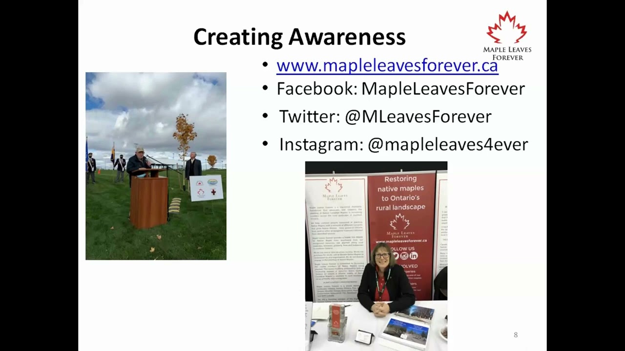 Maple Leaves Forever- Champions of Native Maples in Canada