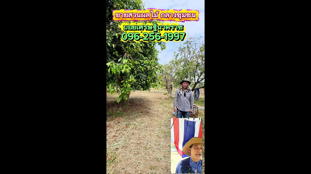 ใครเข้ามาชมแล้ว ถ้าชอบถูกใจ ฝากพิมพ์ ชอบ ให้ผมบ้างน่ะครับ 🙏🙏🙏 #บอยเศรษฐีนาคราช