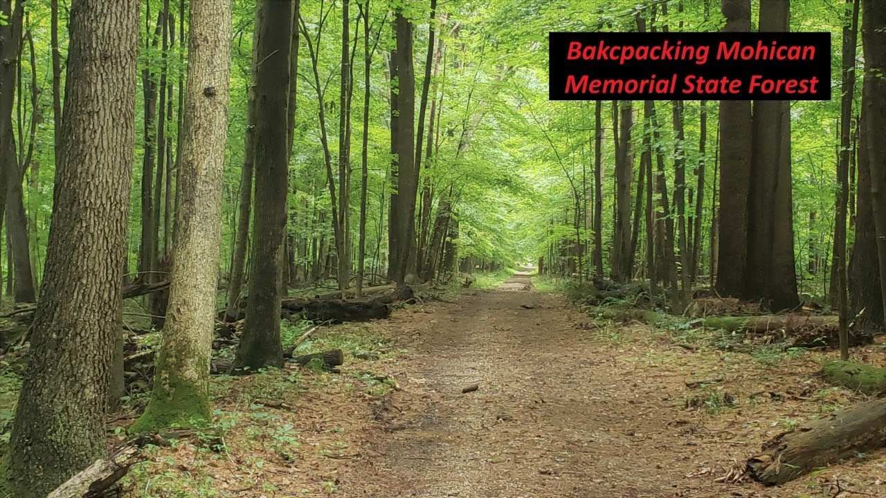 Backpacking in the Mohican Memorial State Forest, Ohio Site 6