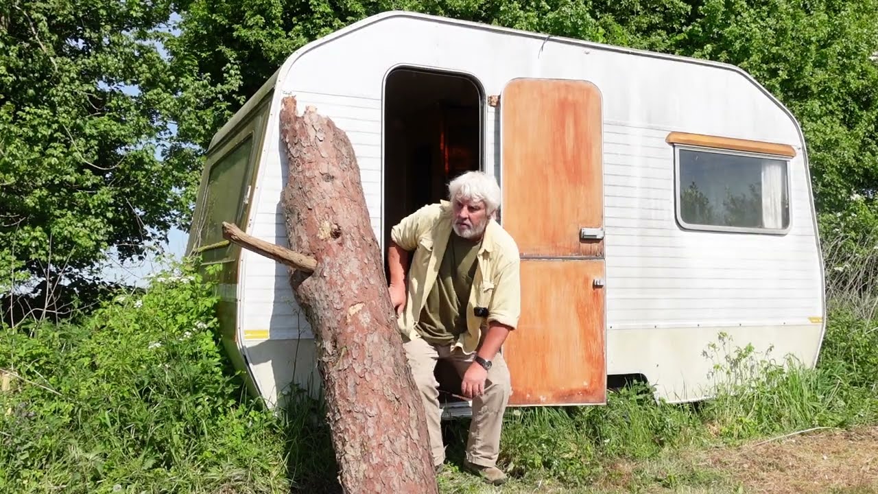 Fabulous Fatwood