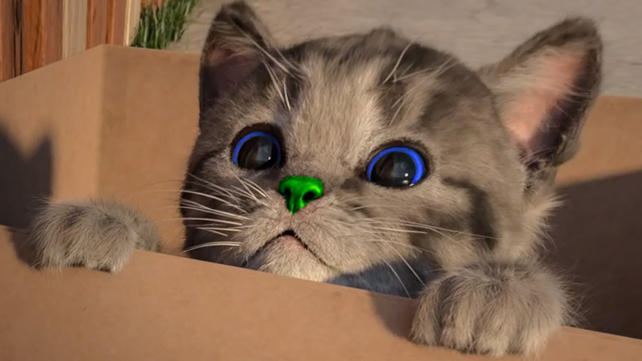 Little Kitten & Friends - Learn with the cutest cat!