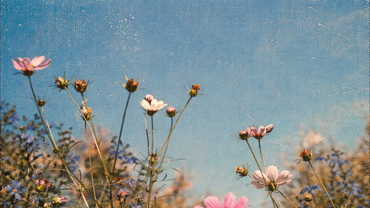 Wild Meadow Vintage Flowers Under Summer Sky | 4K TV Art Screensaver