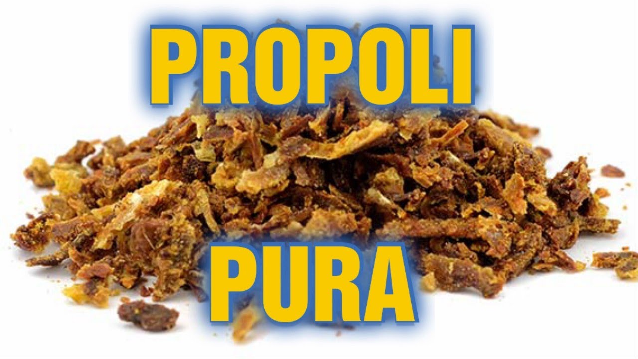 Apicoltura CD: Produzione di propoli da rete, come fare.