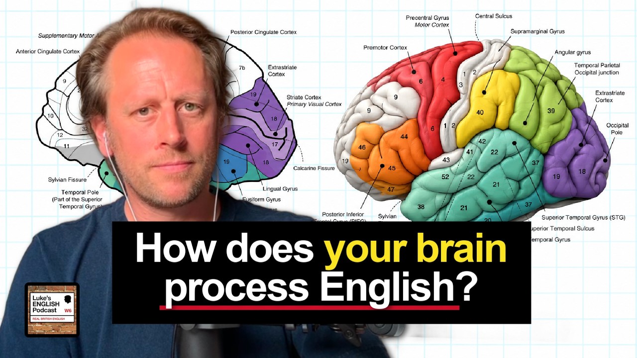Neuroscience & Learning English 🧠 11 Surprising Facts [1002]