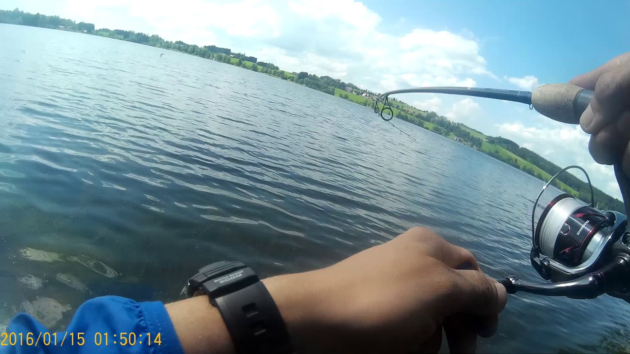 Fiiish Power Tail