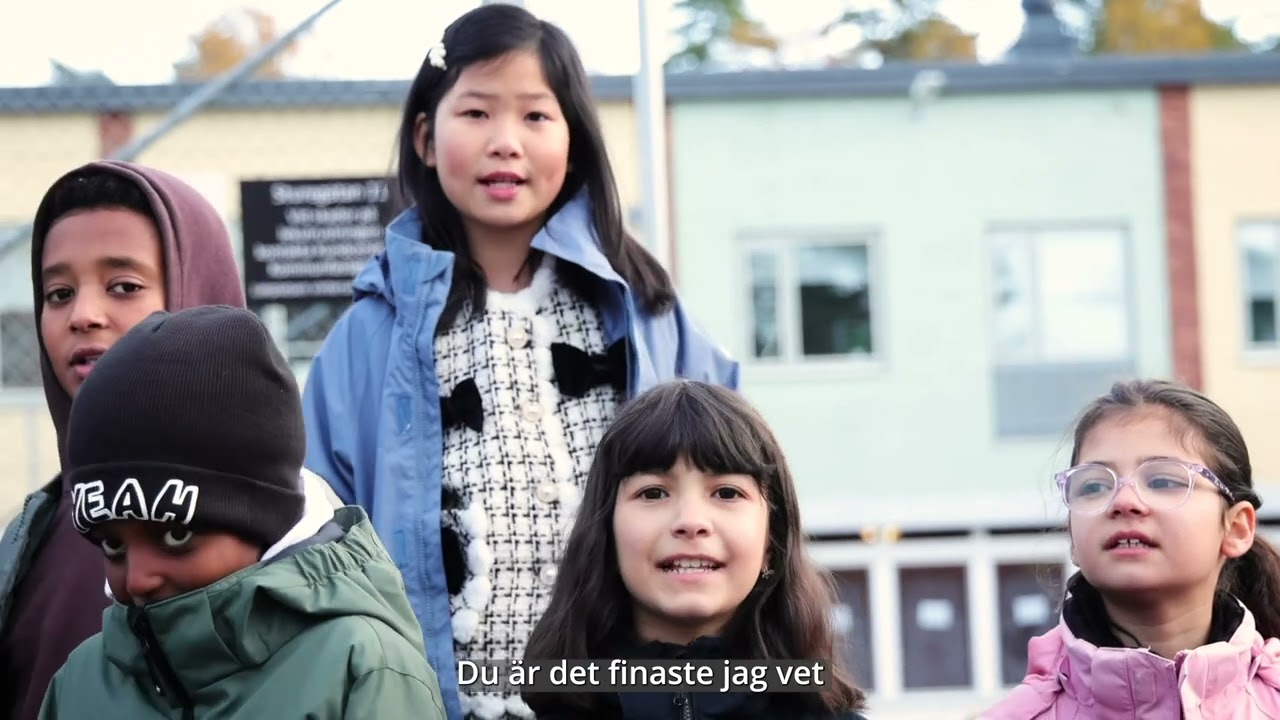 IES Eskilstuna - Sång till friheten ( Björn Afzelius ) 