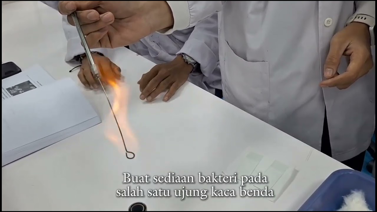 Pewarnaan Kapsul pada Bakteri Klebsiella pneumoniae l|Praktikum Kelompok 7