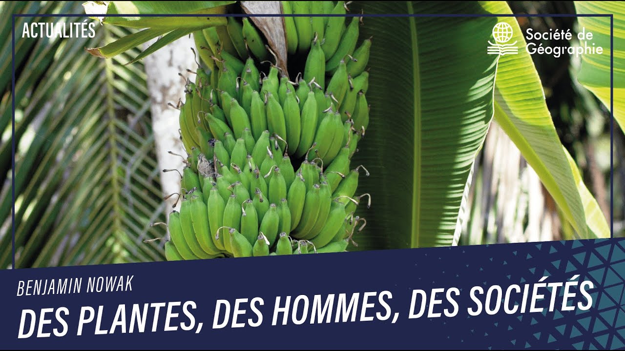Des plantes, des hommes, des sociétés. Entretien avec Benjamin Nowak