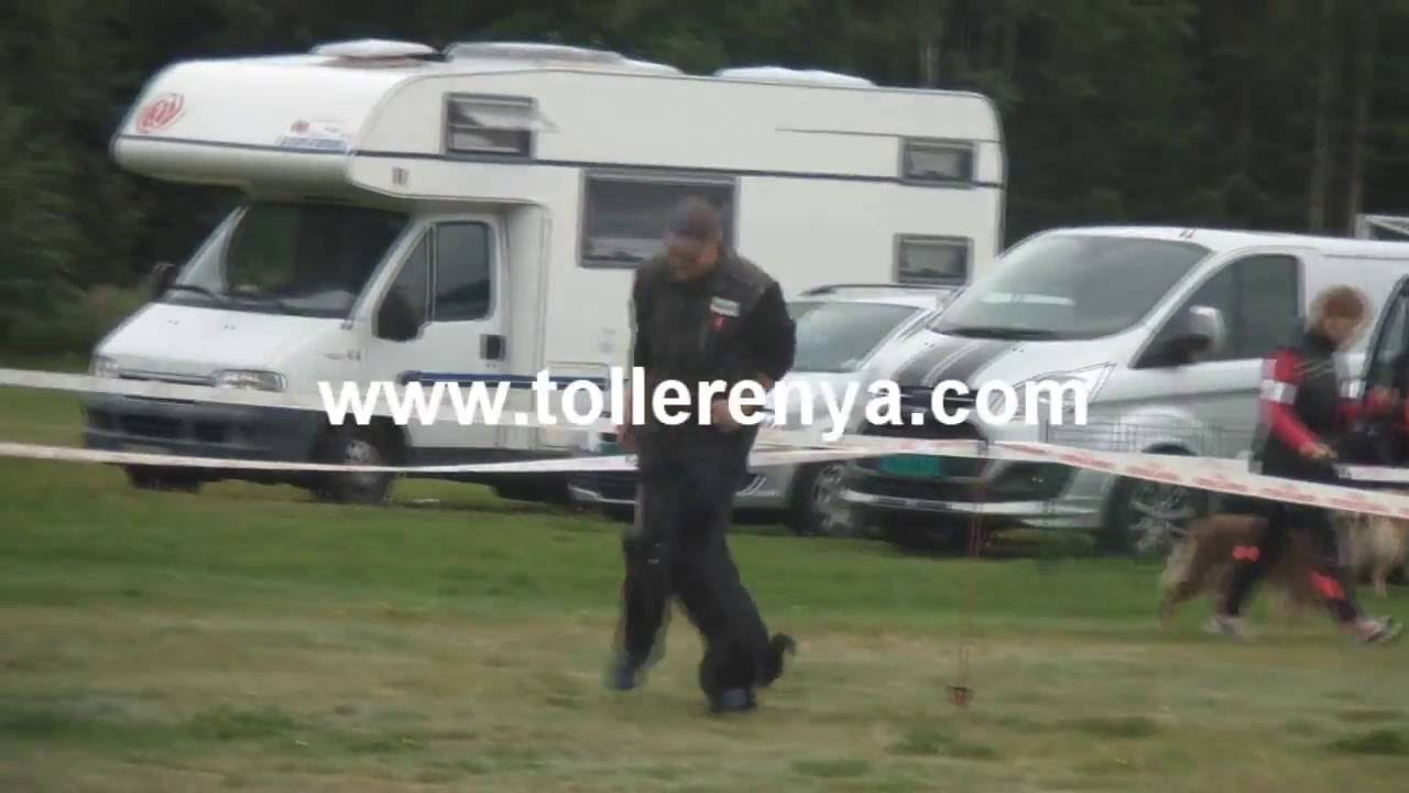 Arya rally lydighet klasse 1 197/200p