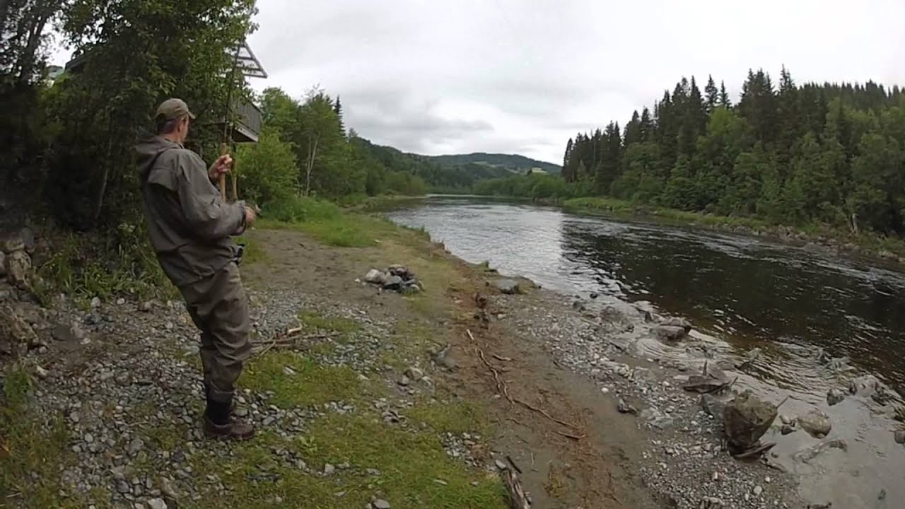 Flyfishing for salmon in Orkla and Gaula