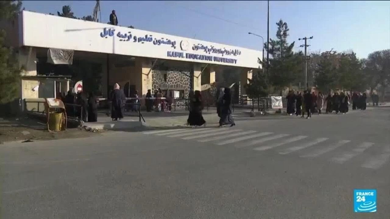 Afghan women university ban: 