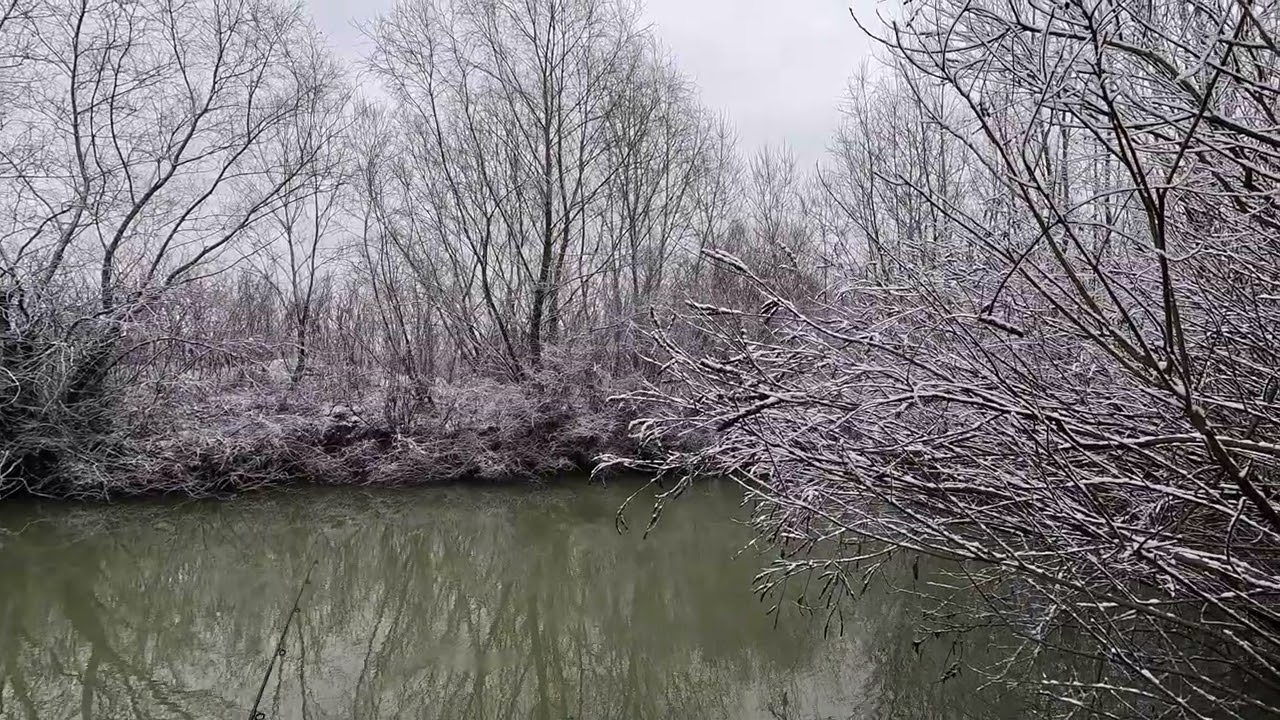 Am ieșit după ninsoare să caut știuci #pescuit #spinning #2026 #ianuarie #snow #pikefishing #arges 