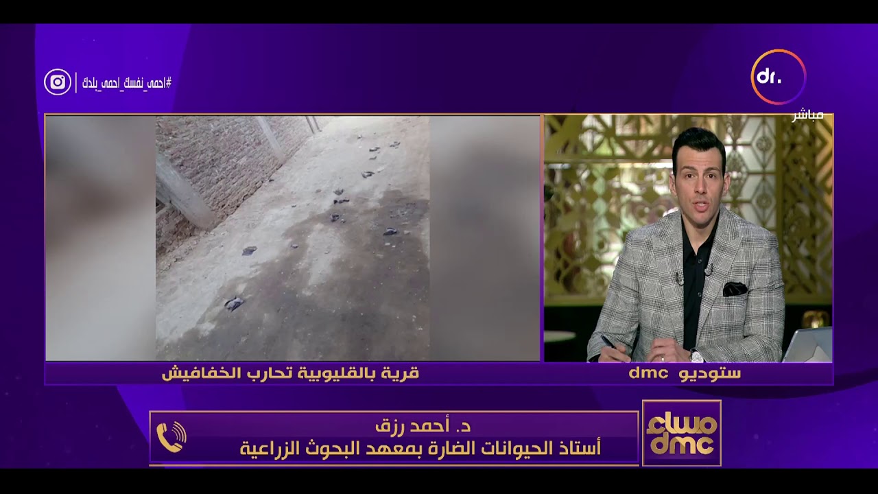 مساء dmc -د.أحمد رزق أستاذ الحيوانات الضارة بمعهد البحوث الزراعية يوضح طرق التخلص من 