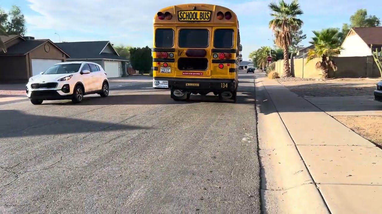 Wonderful Sagan bus Wednesday 