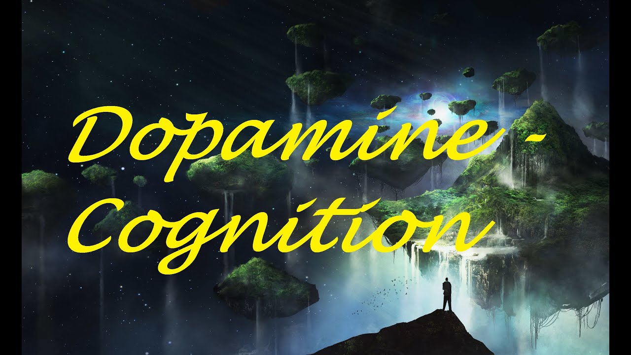 Dopamine  - Cognition  (Visualization video)
