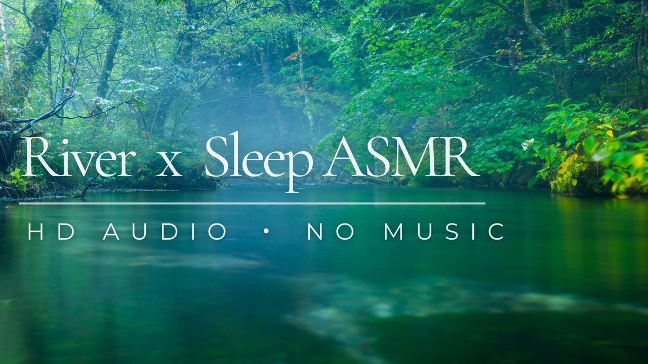 Water ASMR ❘ Quiet Forest River for DEEP SLEEP ❘ HD Audio ❘ 4K