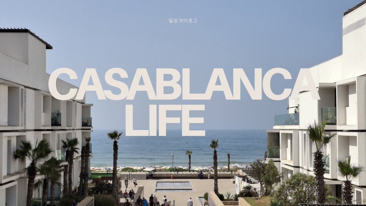 [일상] 🇲🇦 카사블랑카 일상 | 냥줍? | 모로코 가수 콘서트 | 해변 일상 #모로코 #일상