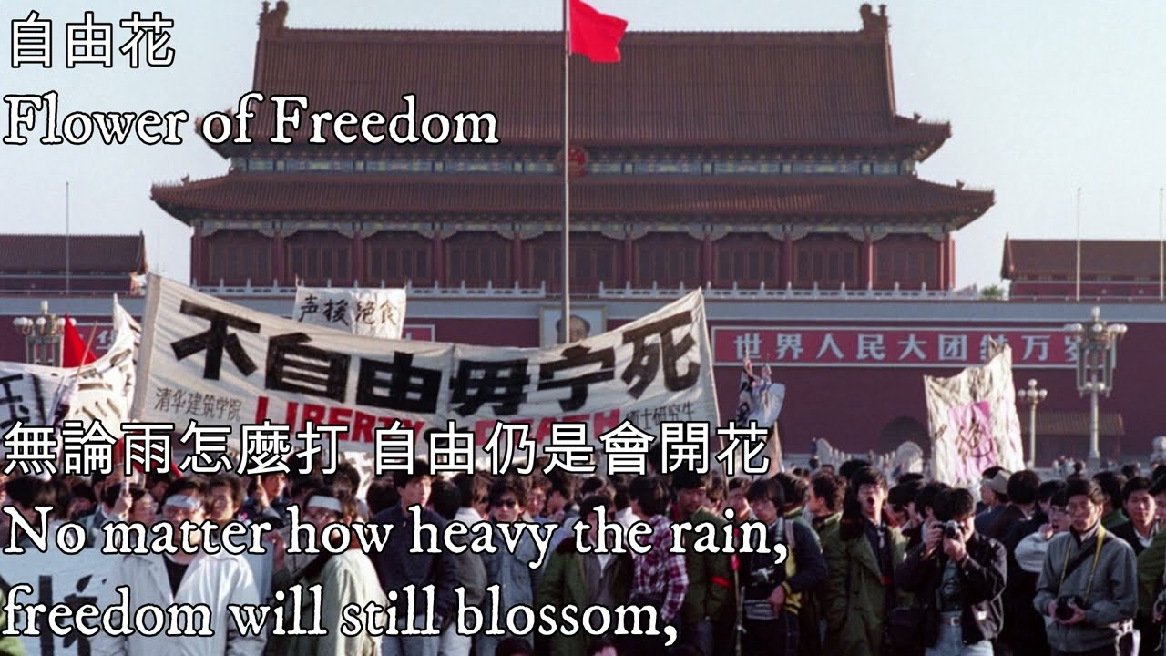 自由花—Flower of Freedom