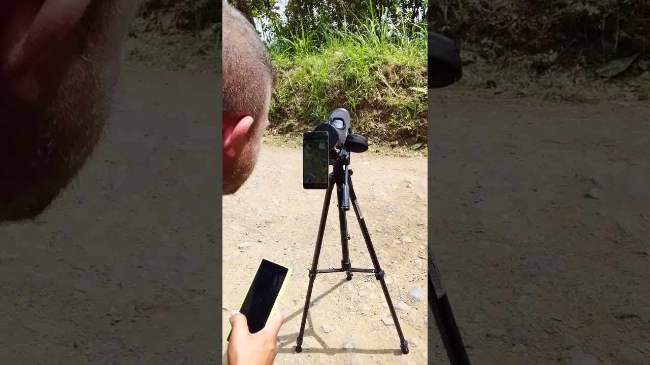 Pajareando en La Leonera, Cali, Valle...