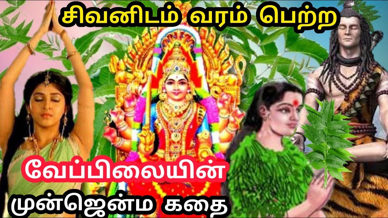 சிவனிடம் வரம் பெற்ற வேப்பிலையின் முன்ஜென்ம வரலாறு😱 Neem tree story in tamil | god mariamman history
