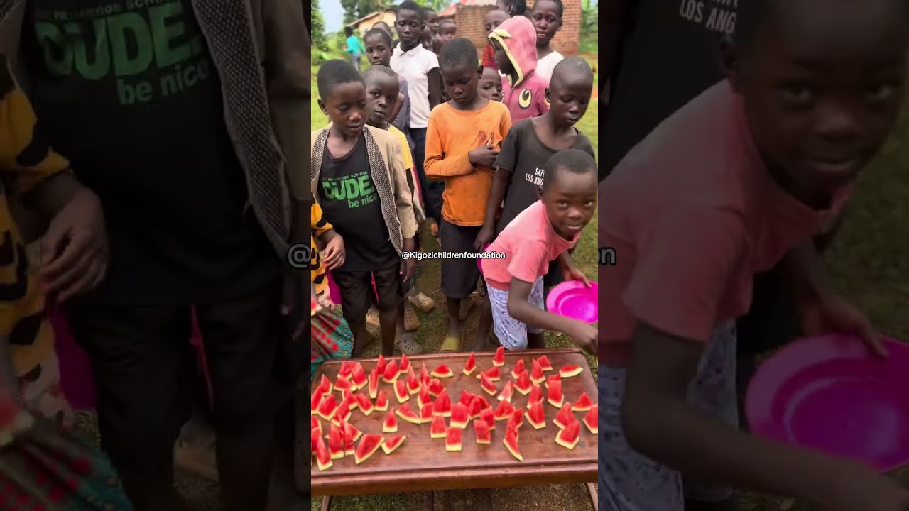 These are water melons link in bio to donate 