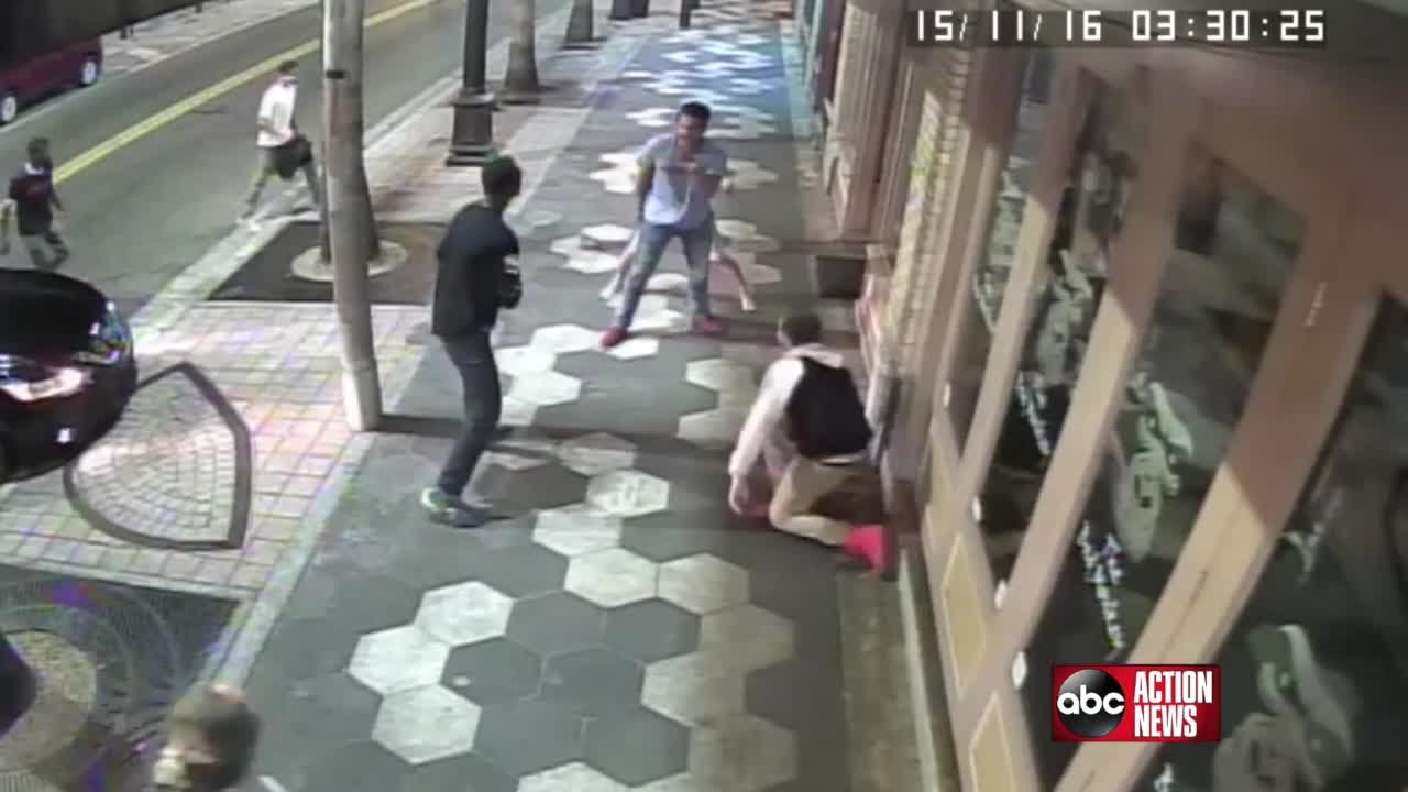Surveillance Video: Tampa Police Officers Working to Identify Driver in Bad Monkey Crash