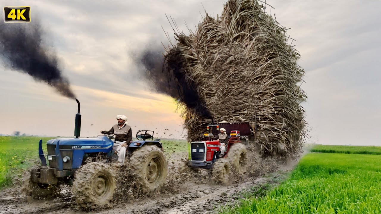 Mf 385 tractor unbelievable Power | Alghazi and Fiat 640 Tractor Mud Load Challenge | 4K | Falak 4K