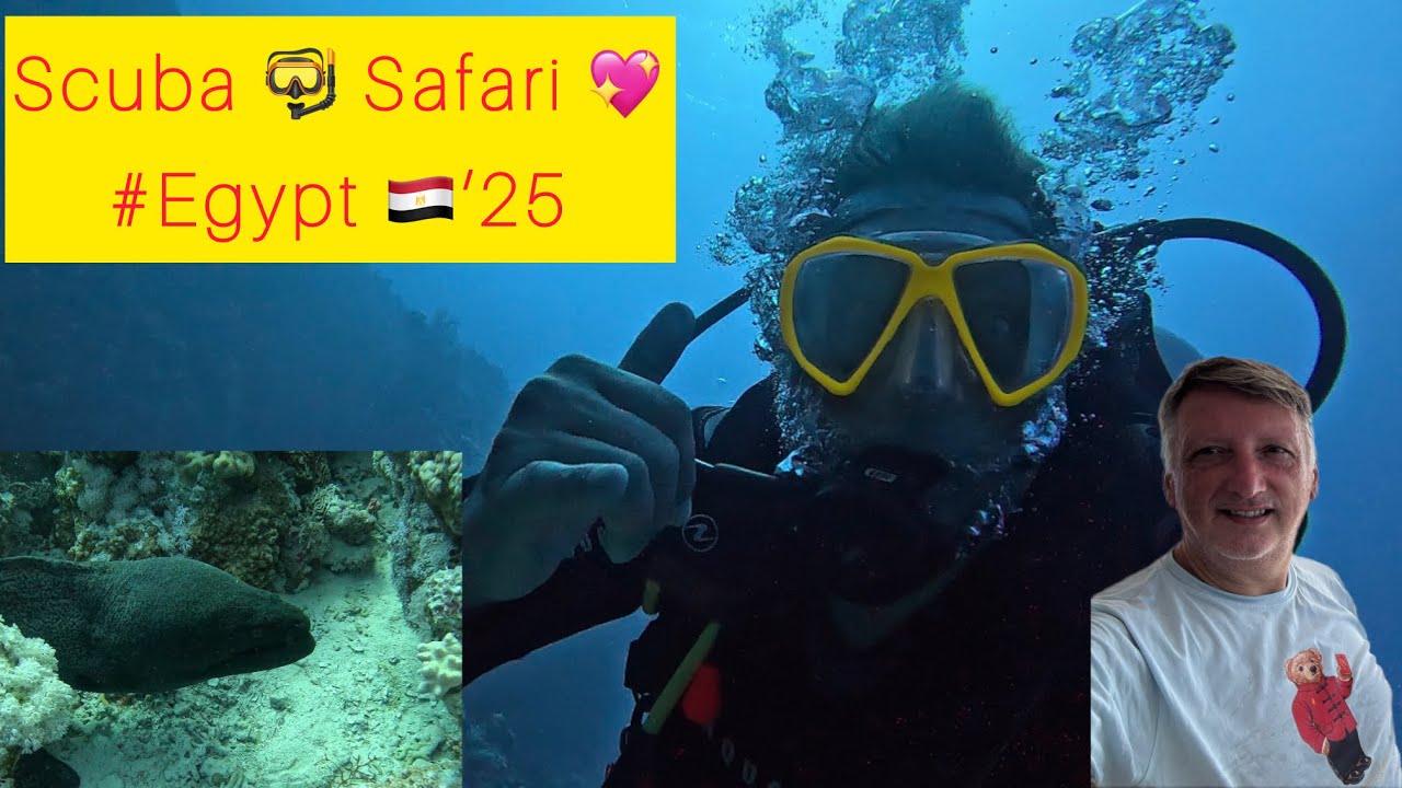 SCUBA 🤿 Safari 😎✌️🌊🐠🦀 #Egypt #redseaegypt 
