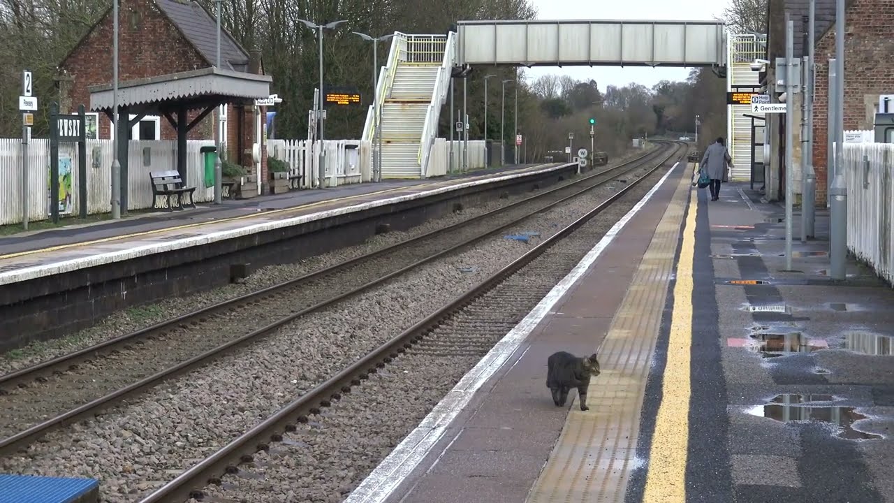Pewsey Cat & 60095 GBRF 6V26 Willesden DC Rail to Merehead Quarry 110226