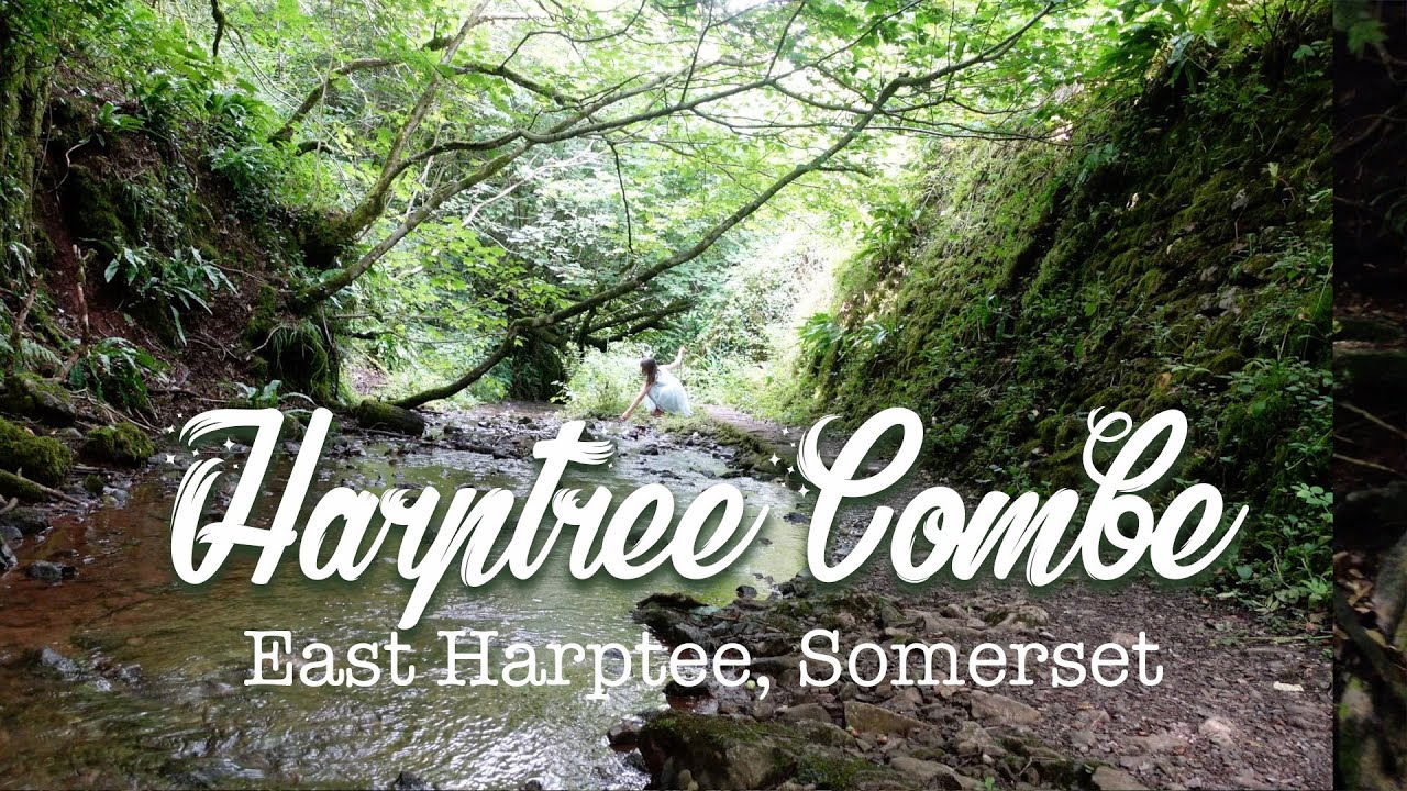 Harptree Combe | Viaduct, Brook and Ruins | HD 1080p