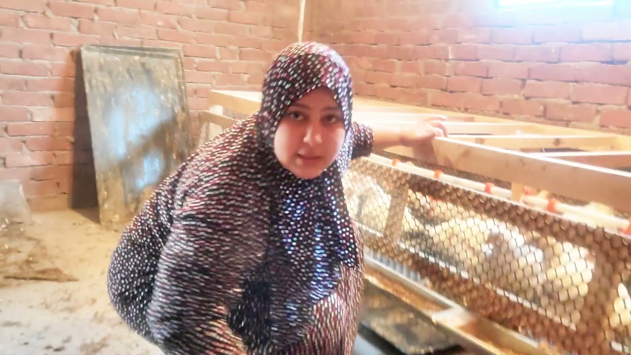 روتين التنظيف تحت الفراخ