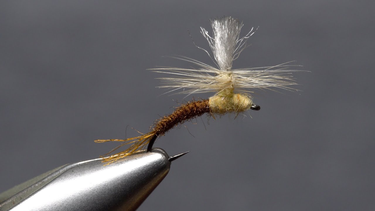 Sulphur Klinkhamer