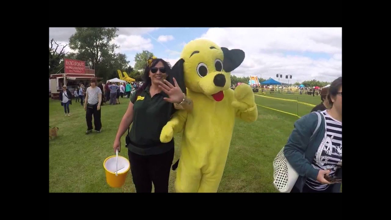 Volunteering at Dogs Trust