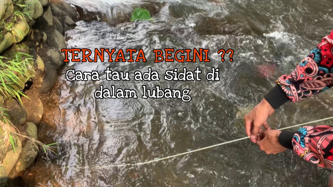 TERBUKTI‼️ Beginilah Cara Tau Ada Sidat Di Dalam Lubang