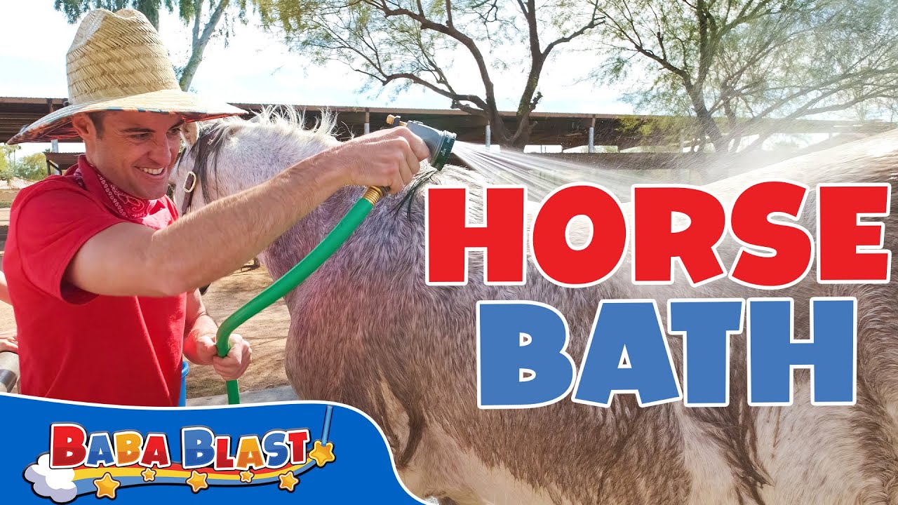 Learn How to Give a Bubble Bath  to a Horse | Learning  Videos for Kids | Baba Blast!