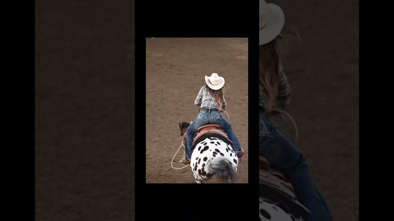 Appaloosas or paints?✨🔥 #horse #westernlifestyle #roping#westernpleasure